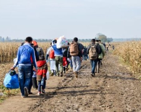 Камион с мигранти се заклещи на улица в ямболско село след гонка с полицията