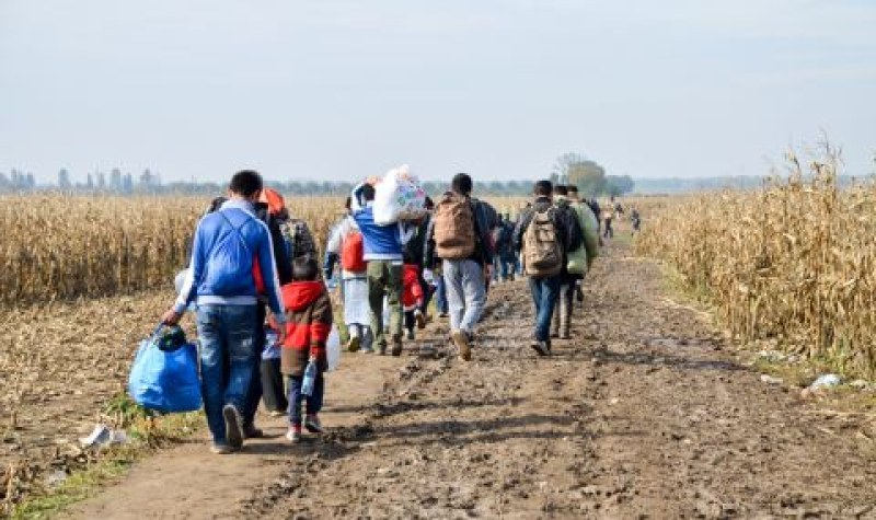 Камион с мигранти се заклещи на улица в ямболско село след гонка с полицията