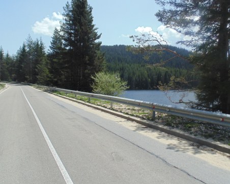 Паднали дървета затвориха пътя Доспат - Широка поляна