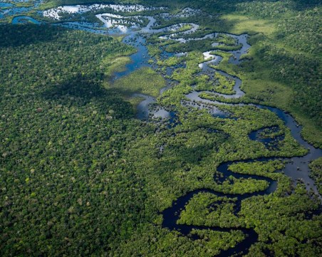 Обезлесяването на Амазонка спада с повече от 20% до най-ниските си нива от 5 години