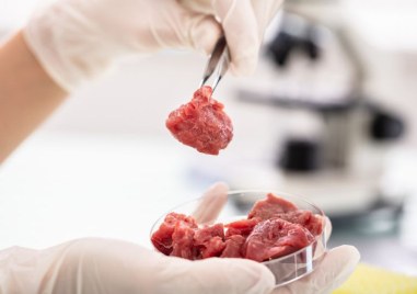 Чешкият стартъп Bene Meat Technologies е първата компания получила разрешение от регулаторните