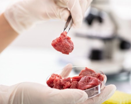 ЕС разреши продажбата на месо, отгледано в лаборатория