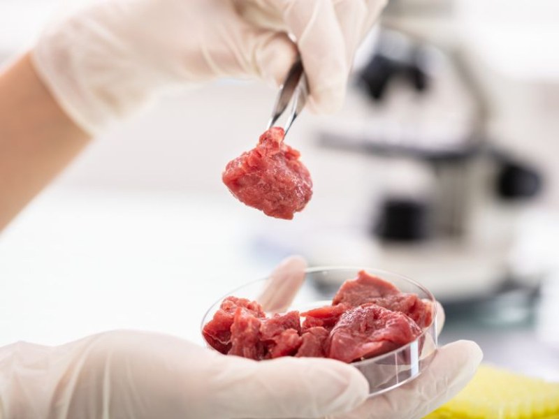ЕС разреши продажбата на месо, отгледано в лаборатория