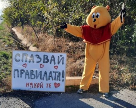 Мече с призив след тежката катастрофа на пътя Плевен-Ловеч: 