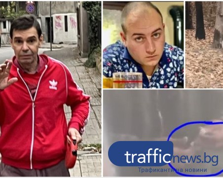 След публикации в медии: Прокуратурата се самосезира за насилие към животни и държане на наркотици