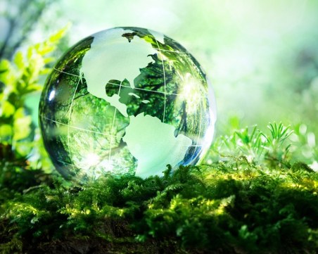 2 млн. вида растения и животни са на път да изчезнат завинаги