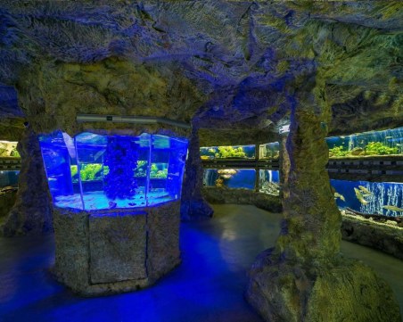 Интерактивна инсталация разказва за света на прилепите в Природонаучния музей