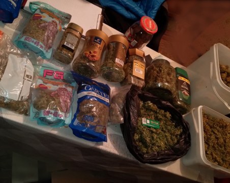 Хванаха дрогирана шофьорка в Хисаря, в дома ѝ откриха амфетамини и над 3 кг марихуана