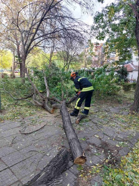 27 произшествия в Пловдив заради вятъра –  дървета скъсаха жици, виси изолация на блок
