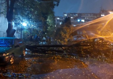 Бедствено положение е обявено в община Варна заради извънредно силния ураганен
