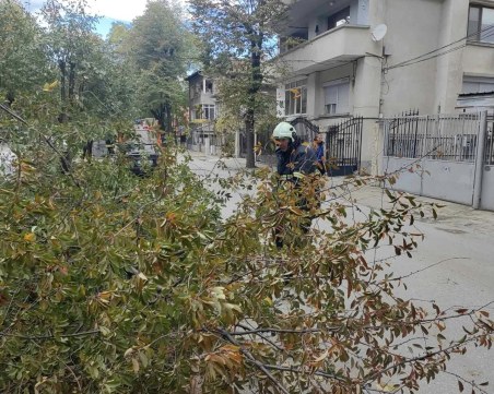 59 сигнала заради вятъра в Пловдив, ликвидирани са и 6 пожара за последното денонощие
