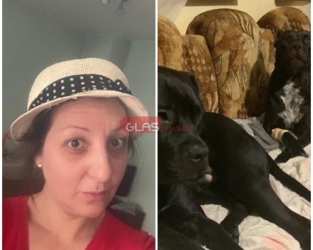 Ясен е собственикът на питбулите, убили куче в Пловдив