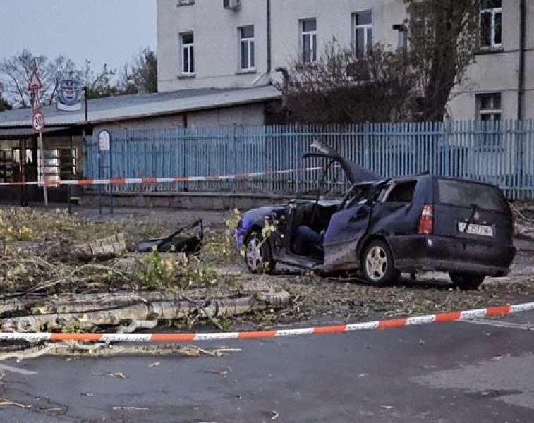 Изписаха жената, върху която падна дърво при силните ветрове в София