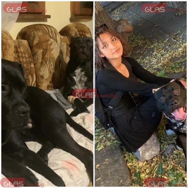 Ана Семерджиева е собственикът на питбулите, убили домашното куче Макси