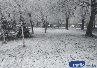 Сняг и дъжд днес в Пловдив От НИМХ към БАН