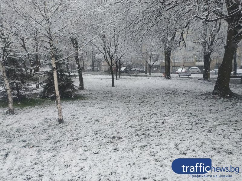 Сняг и дъжд днес в Пловдив. От НИМХ към БАН