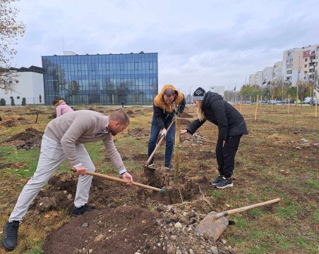 Ударно продължава залесяването в „Тракия” и в новия мандат