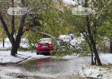 След снега в Пловдив TrafficNews получи няколко сигнали за паднали