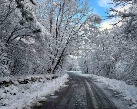 20 см. сняг натрупа във високите части на Асеновград