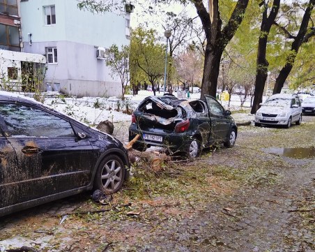 Кой ще поеме щетите по десетките коли в Пловдив, потрошени от падналите клони?