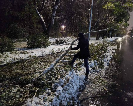 Костадин Димитров: Стотици служители и 52 машини работят за почистването на Пловдив