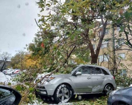 Над 100 автомобила са пострадали от паднали клони в Пловдив и областта