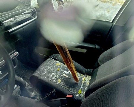 Паднал клон проби кола в Пловдив