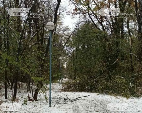 Парк Лаута е непроходим, Георги Гатев призова хората да не ходят там