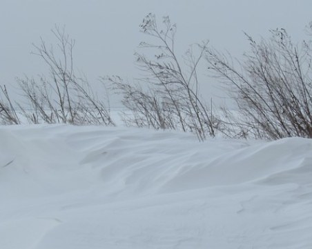 Студът взе жертва в Казанлък