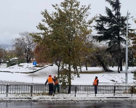 Всички екипи на ОП „Градини и паркове” работят по отстраняване на щетите в Пловдив