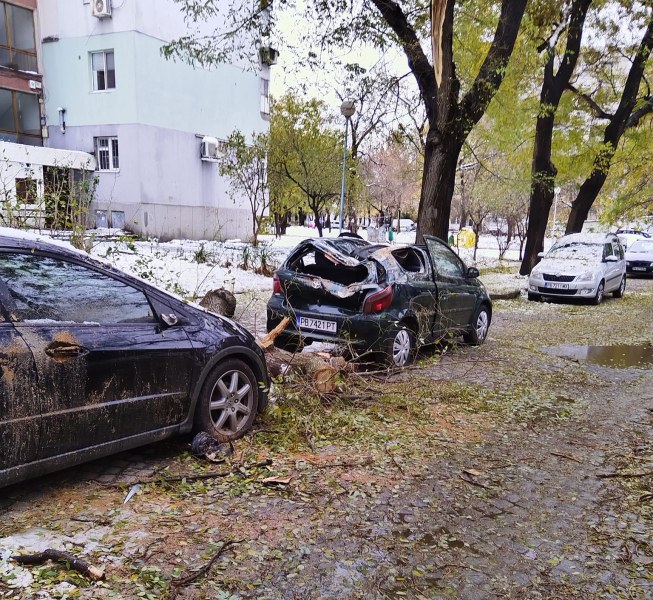Кой ще поеме щетите по десетките коли в Пловдив, потрошени от падналите клони?