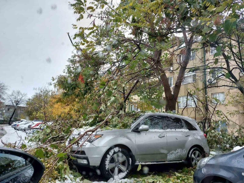Над 100 автомобила са пострадали от паднали клони в Пловдив и областта