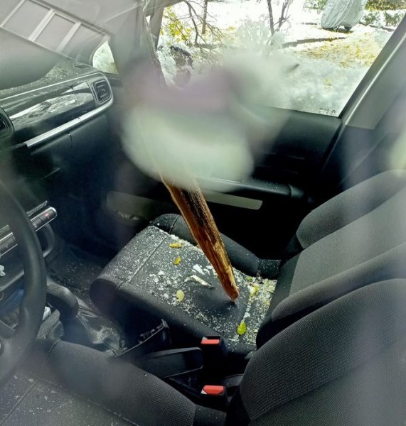 Паднал клон проби кола в Пловдив