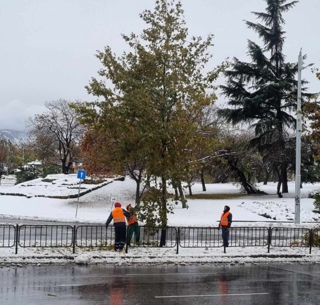 Всички екипи на ОП „Градини и паркове” работят по отстраняване на щетите в Пловдив