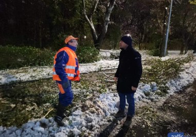 Ситуацията в Пловдив се нормализира след зимната буря и падналия