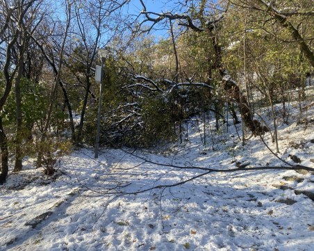 Бунарджика след снега: Прекършени дървета, скъсани жици и много снежни човеци