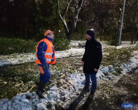 Кметът на Пловдив: Разчистваме приоритетно падналите дървета, правим мащабно залесяване