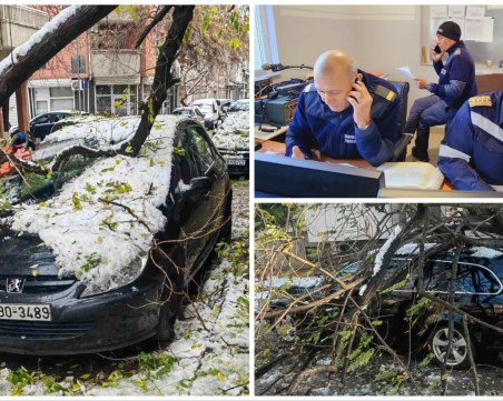 Над 200 сигнала до Пловдивската пожарна за последното денонощие