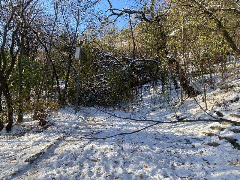 Бунарджика след снега: Прекършени дървета, скъсани жици и много снежни човеци