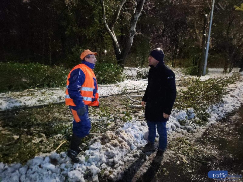 Ситуацията в Пловдив се нормализира след зимната буря и падналия