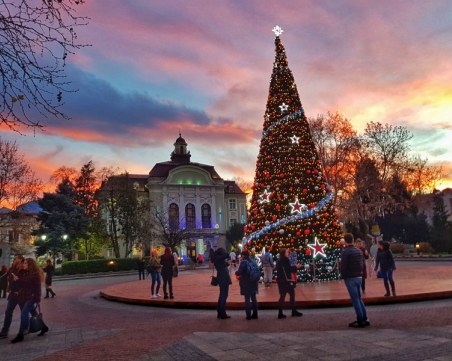 Елхата в центъра на Пловдив грейва на 1 декември, вижте празничната програма