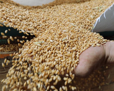 След рекордна реколта: Русия ще изнесе милиони тонове зърно