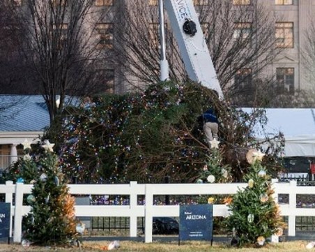 Коледната елха във Вашингтон се срути