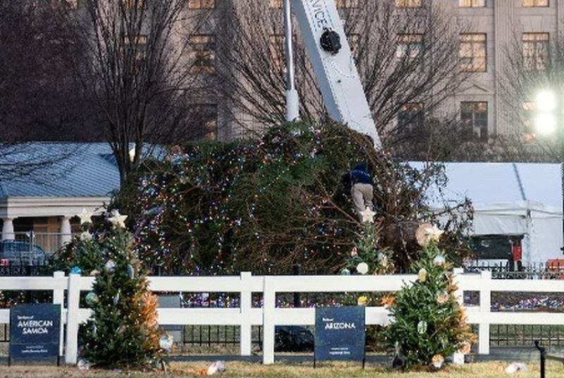 Коледната елха във Вашингтон се срути