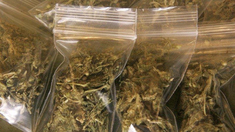 Над 5 кг. марихуана са иззети от жилища на криминално проявен в Хасково