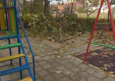 Пловдивчанин предупреди за опасност на детска площадка съобщава В