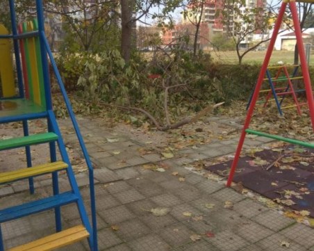 Без вятър или сняг: Клон падна на детска площадка в Тракия
