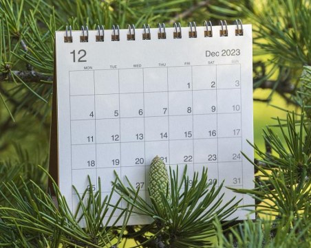 Кога ще почиваме по Коледа и Нова година?