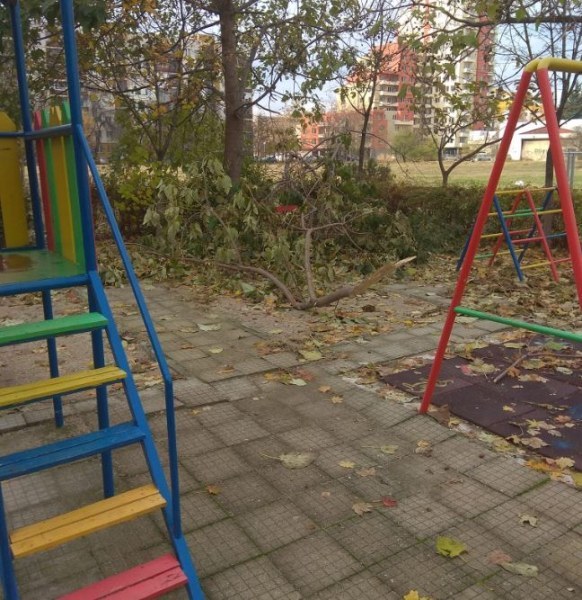Без вятър или сняг: Клон падна на детска площадка в Тракия