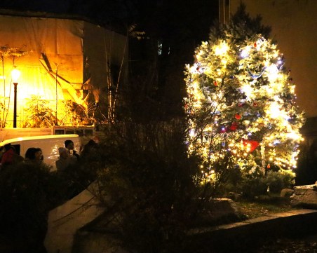 Коледното дърво светва за фестивала 